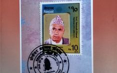 एक जीनियस पार उत्कृष्टतामा उपचार 