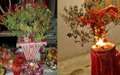 तुलसी विवाहको पौराणिक कथा : यी हुन् तुलसी पूजन एवं विवाहका फाइदा
