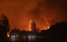 美国加州山火过火面积创纪录 逾220万英亩土地被烧