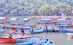 फेवातालको ‘सिल्टेसन ड्याम’ बाढीले बगायो