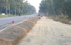 नारायणघाट–बुटवल सडक : स्वीकृतभन्दा पाँच सय गुणा बढी रुख कटान