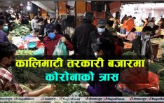 कालिमाटी तरकारी बजारबाट कोरोना फैलिने त्रास