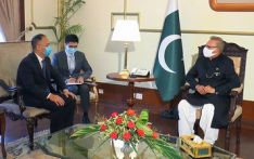 新任驻巴基斯坦大使农融向巴总统阿尔维递交国书