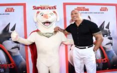 DC's 'Super-Pets' tops N.America box office