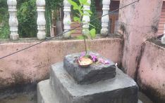 घर घरमा तुलसीको बिरुवा रोपेर हरिशयनी एकादशी मनाइँदै