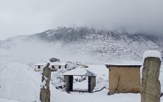 नाम्खाको तुम्लिङमा फसे चार विदेशीसहित १२ जना