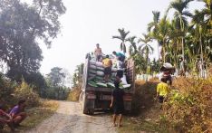 Betel nut export from Gelephu continues