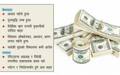 डलरको भाउ १३१.४१ रुपैयाँ पुग्यो