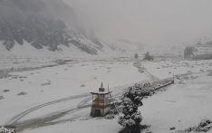 हिमपातका कारण एक अमेरिकीको मृत्यु, तीन नेपाली बेपत्ता