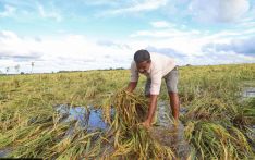 Government mute spectator as extreme weather hits farmers