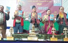दुई कृति सार्वजनिक