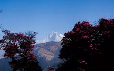 尼泊尔经典徒步路线详解（一）