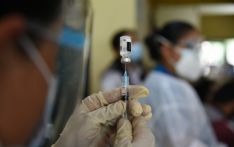 50 万剂辉瑞新冠肺炎儿童疫苗本月到期