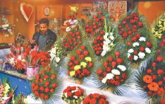 尼泊尔在情人节前禁止进口玫瑰