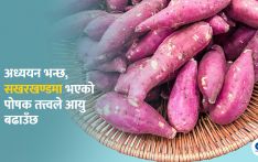सखरखण्डबाट पाइने कार्बोहाइड्रेटले आयु बढाउँछ ?