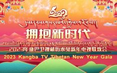 南亚网视SATV丨2023藏历新年晚会（下）