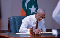 President Solih constitutes National Job Center