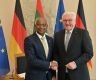 President Solih meets German President Steinmeier