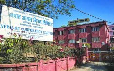 भारतबाट पेट्रोलियमको मूल्य घटेर आयो