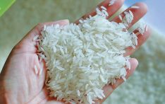 尼泊尔大米涨价了