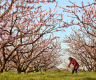 Villagers busy at farming on spring equinox