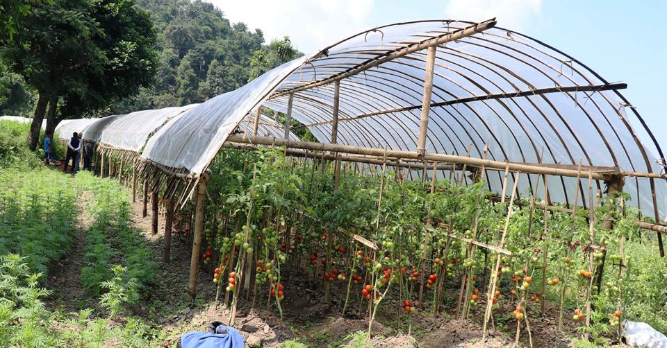 dhankuta1