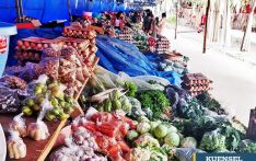 Balanced diet costly for urbanites
