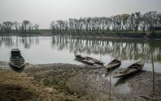 面对洪水：世界可以从孟加拉国的气候解决方案中学到什么