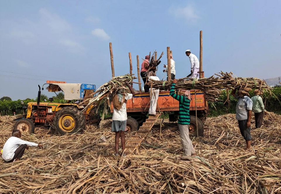 Maharashtra Sugar Mills: India's Maharashtra state to produce less sugar as mills  close early - The Economic Times