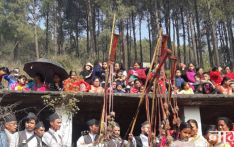 सेतो मच्छिन्द्रनाथ रथयात्रा आजबाट शुरु