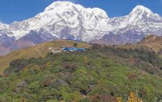 घट्दै कार्बन भण्डारण क्षमता