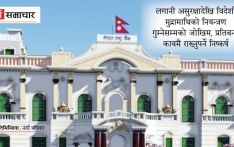 क्रिप्टोकरेन्सीमा राष्ट्र बैंकले औँल्यायो १३ प्रकारका जोखिम