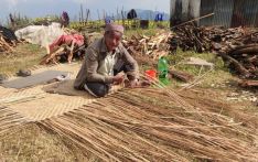 मान्द्रा बुनेरै जीविकोपार्जन