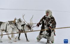 俄罗斯亚马尔涅涅茨自治区驯鹿牧民（组图）