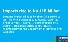 Imports rise to Nu 118 billion 