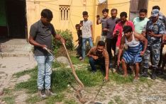 सर्पका ‘साथी’ गणेश : २३ वर्षमै १५ सयभन्दा बढी सर्पको उद्धार