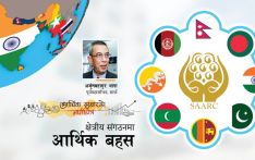 क्षेत्रीय संगठनमा आर्थिक बहस