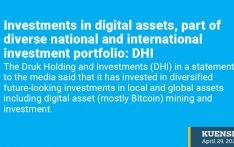 Investments in digital assets, part of diverse national and international investment portfolio: DHI