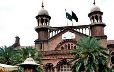 LHC directs Imran to join probe in all cases