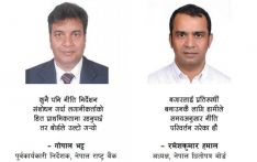 शक्तिको आडमा धितोपत्र बोर्डका अध्यक्ष हमालले गरे नीतिगत भ्रष्टाचार