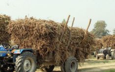 उखु किसानलाई उद्योगीले गरेनन् भुक्तानी