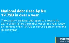 National debt rises by Nu 19.72B in over a year