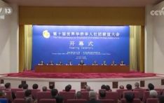 习近平会见第十届世界华侨华人社团联谊大会代表