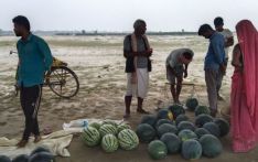 कमला बगरमा तर्बुजाको खेती