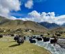 8,000 tourists visit Manang in four months