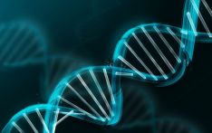 描绘人种尽可能多的“DNA图像” 人类泛基因组首个草图发布