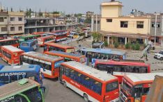 टर्मिनल क्षेत्रमा बस होल्ड