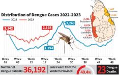 Sri Lanka on the brink of dengue hyper epidemic