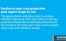 Decline in cash crop production puts export target at risk