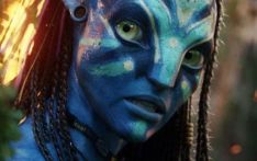 'Avatar' series delays to 2031, Zoe Saldaña reacts 